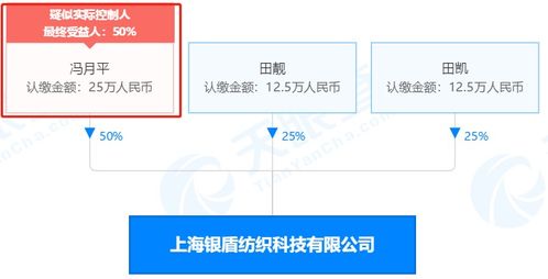 馮趙離婚背后，信息系統集成服務的神秘現身